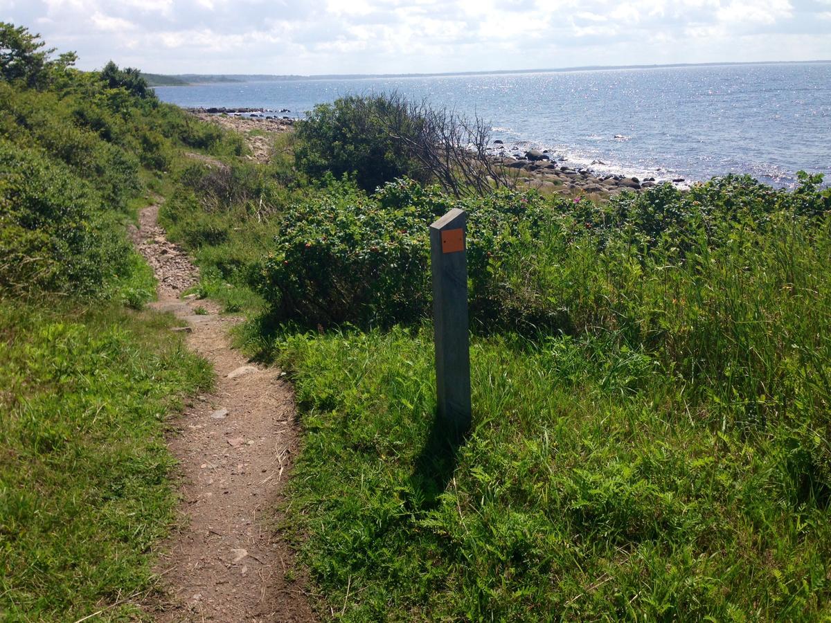 Vejbystrands Vandrarhem Esterno foto